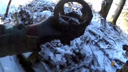 Cold, snow, battle of the bulge. D.RAD relic hunting/D.RaD metal detecting.