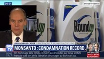 Round Up: Monsanto condamné à verser 2 milliards de dollars à un couple atteint d'un cancer