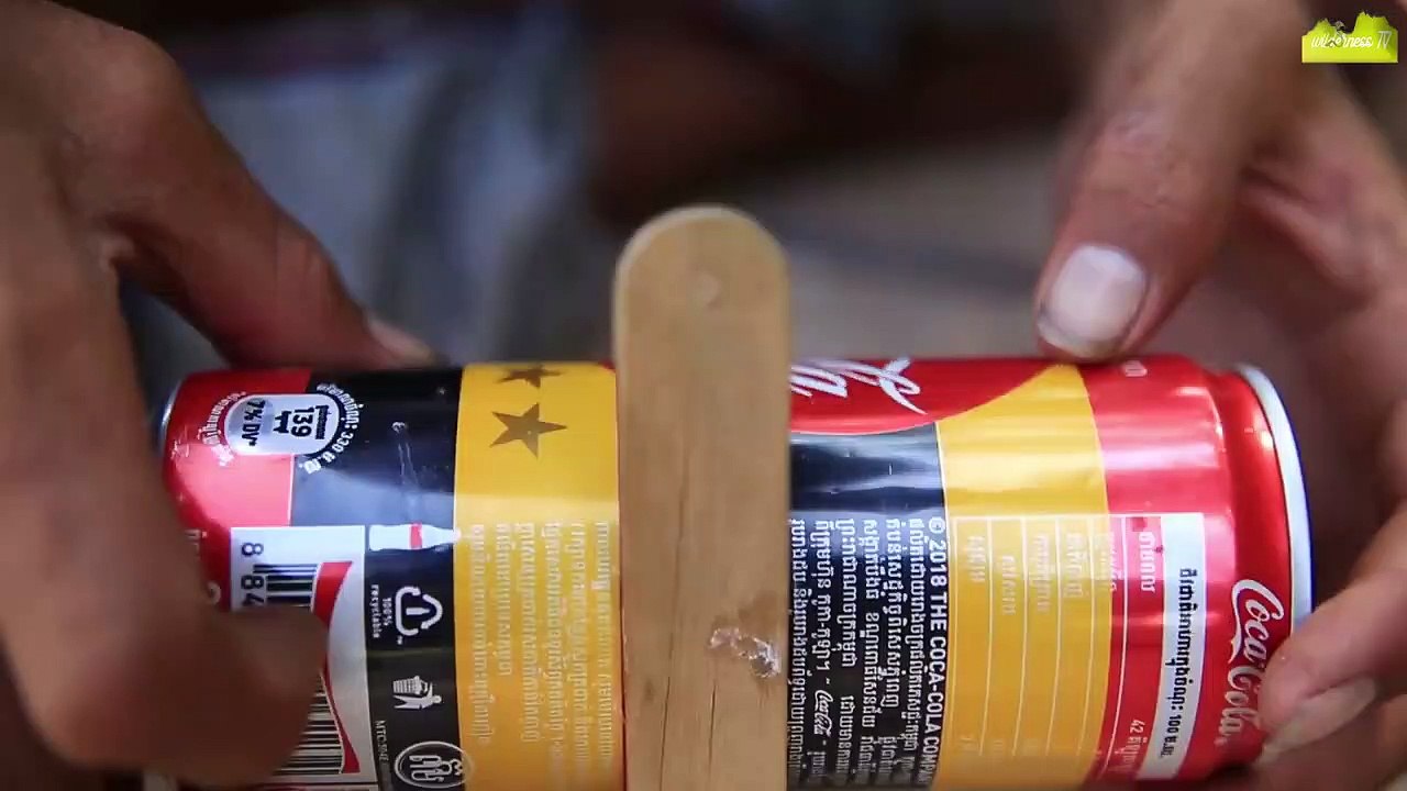 Easy bird trap technology make from CocaCola and Popsicle stick