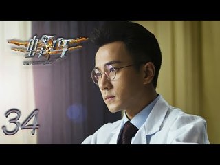 蜂鸟 34 | The Humming bird 34（刘恺威，张佳宁，李溪芮，毛毅 领衔主演）