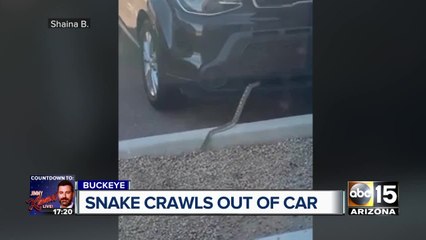 Snake crawls out of Valley woman's car