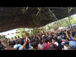 Thrissur Pooram 2018