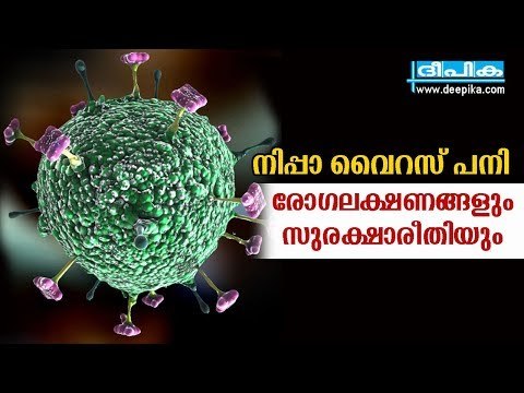 നി​പ്പാ വൈ​റ​സ് പനി: ​ ലക്ഷണങ്ങളും സുരക്ഷാരീതിയും