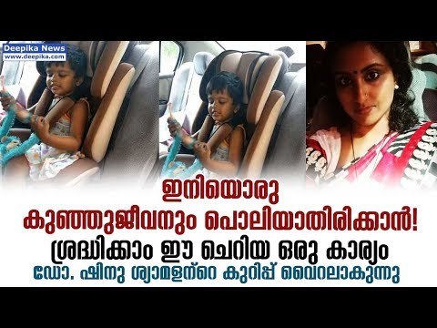 Use Baby Car Seats to Ensure Children's Safety! Doctor Shinu Shyamalan's Facebook Note Goes Viral