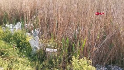 Bursa'da 1 Ton Balığı, Piknik Alanına Bırakıp Kaçtılar