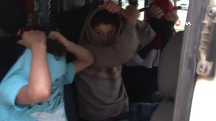 Pitbull'u Gezdirme Bahanesiyle Gasp Ettiler