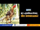 A Cock Was Offered A Record Price of Rs 1.5 Lakh! Deepika News