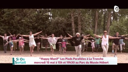 Happy Manif, Aamiral,  L'Odyssée d'Hippo, L'envers d'une histoire, Tous des oiseaux MC2 - 14 MAI 2019