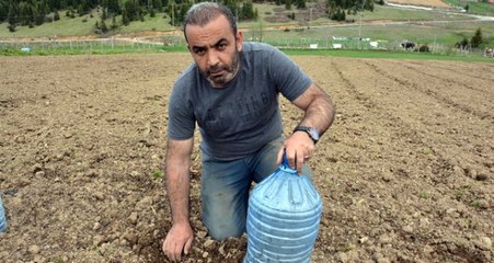 Ordulu Çiftçiden Zirai Dona Karşı Damacanalı Önlem