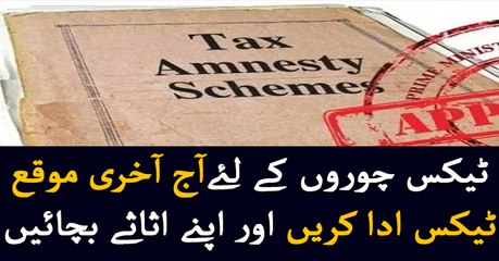 Final draft of tax amnesty scheme ready