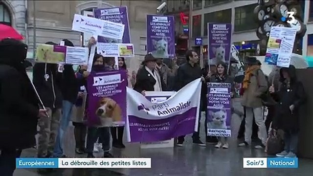 Élections européennes : la débrouille des petites listes