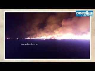 വേനല്‍ ചൂട്: പാടശേഖരത്തിനു തീപിടിച്ചു