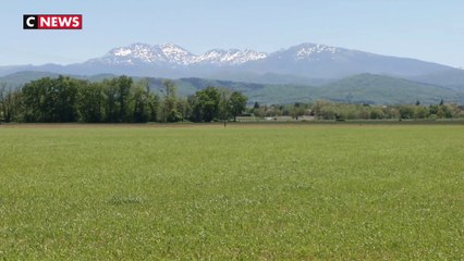 Une campagne de test pour détecter la présence de glyphosate dans les urines