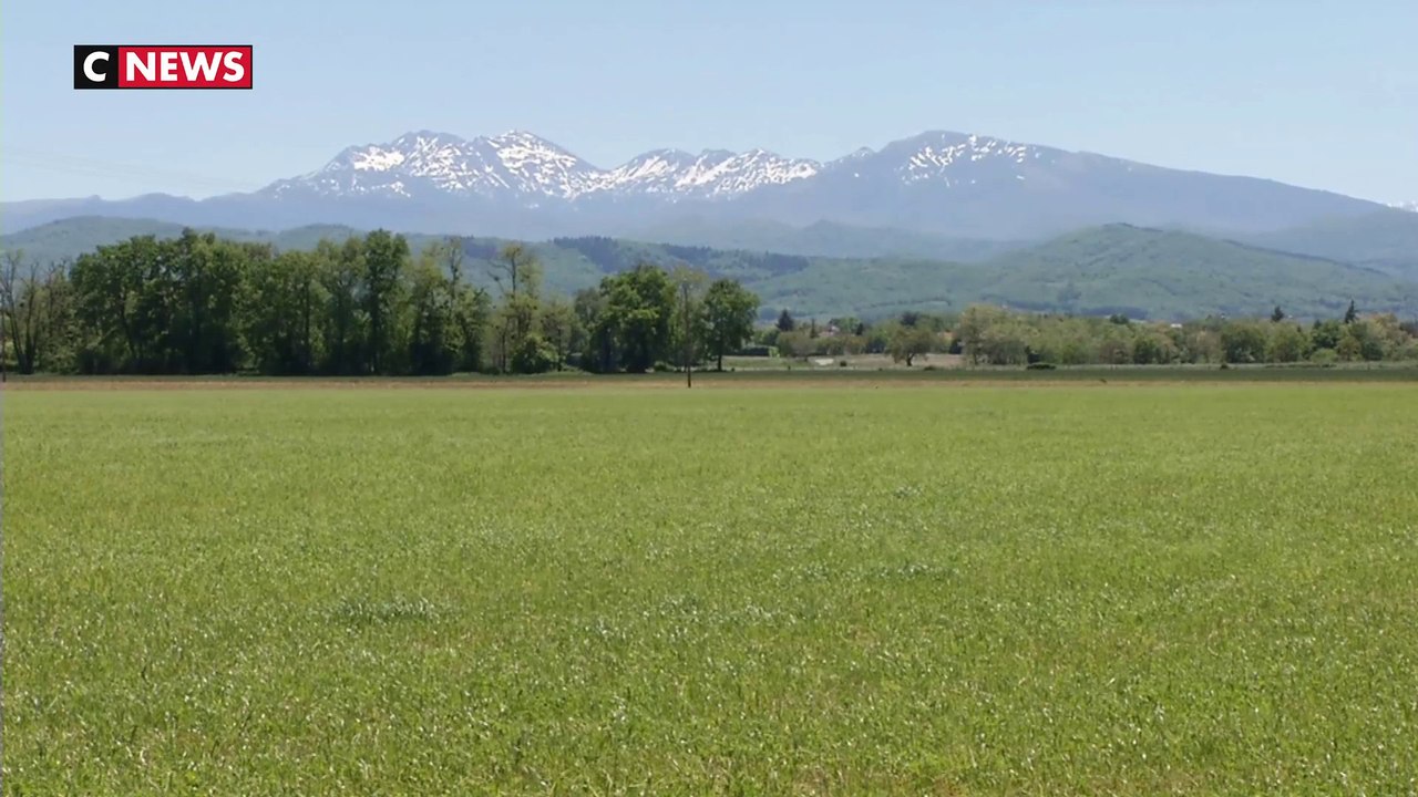 Une campagne de test pour détecter la présence de glyphosate dans les urines