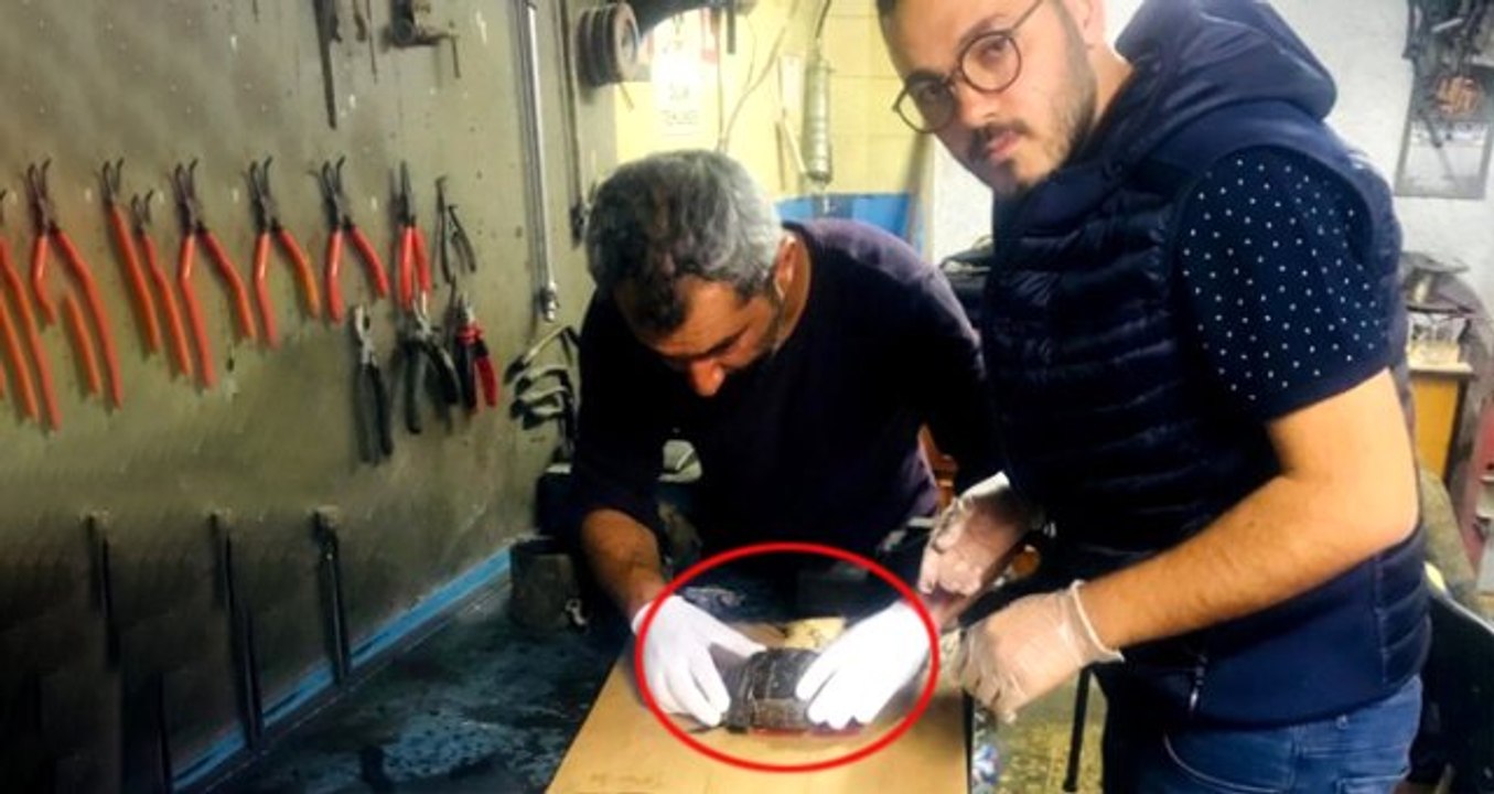 Üzerinden Araba Geçen Kaplumbağayı Kaportacıda Hayata Döndürdüler