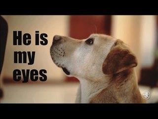 [Dog]HE IS MY EYES AND MY BEST FRIEND |More China
