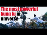 [Kung fu] The most powerful kung fu in universe  | More China