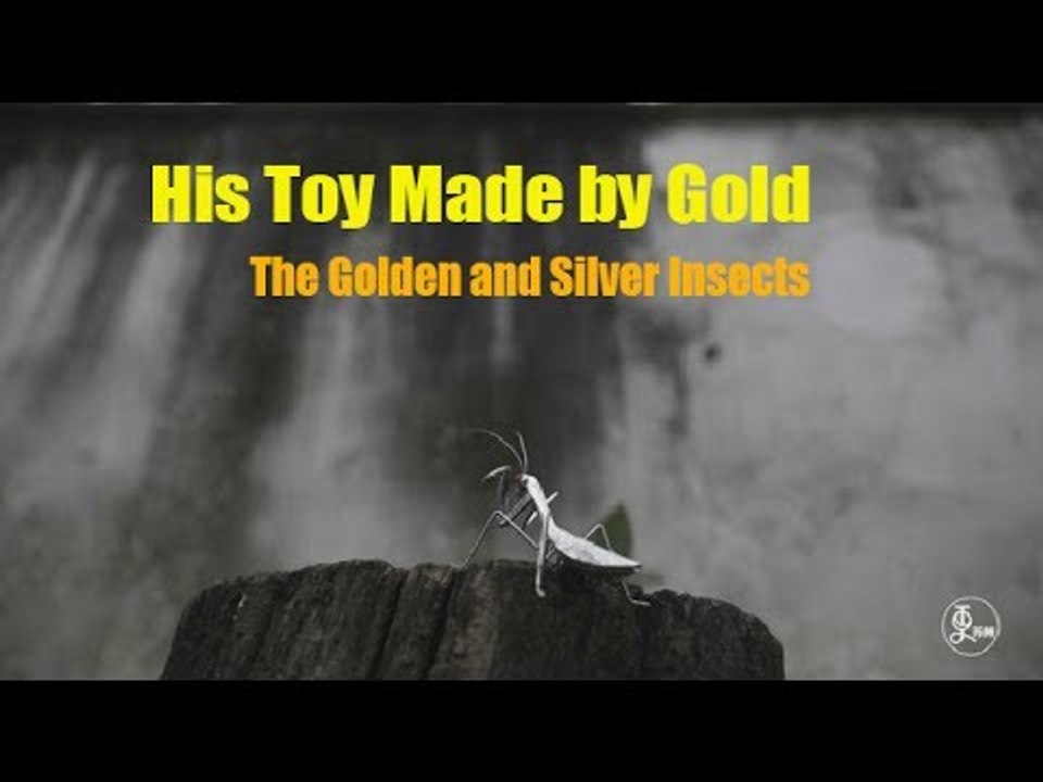 His Toy Made by Gold -The Golden and Silver Insects | More China
