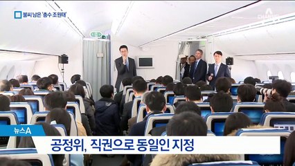 공정위가 주도한 ‘한진 총수 조원태’…불씨 남은 ‘남매 갈등’