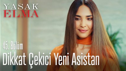 Halit'in yeni asistanı - Yasak Elma 45. Bölüm