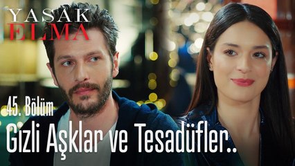 Gizli aşklar ve tesadüfler - Yasak Elma 45. Bölüm