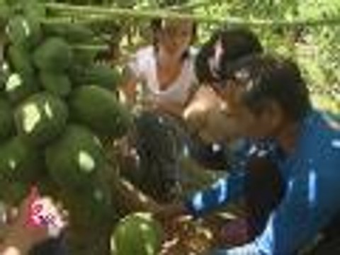 Tree planting at fruit picking sa La Union with Kris at Erich
