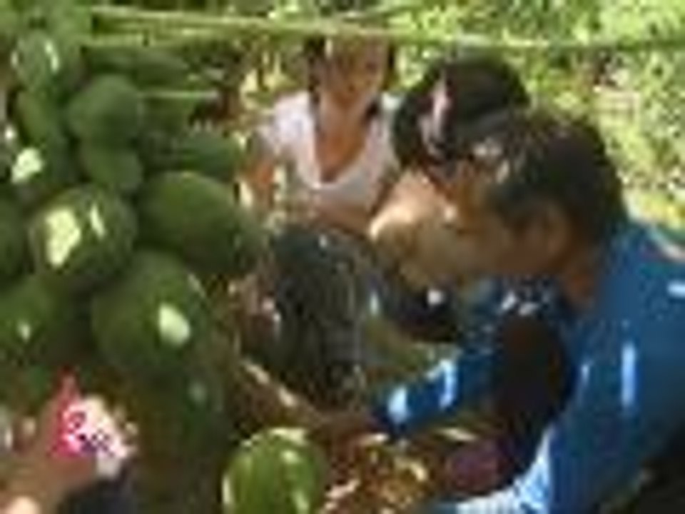 Tree planting at fruit picking sa La Union with Kris at Erich