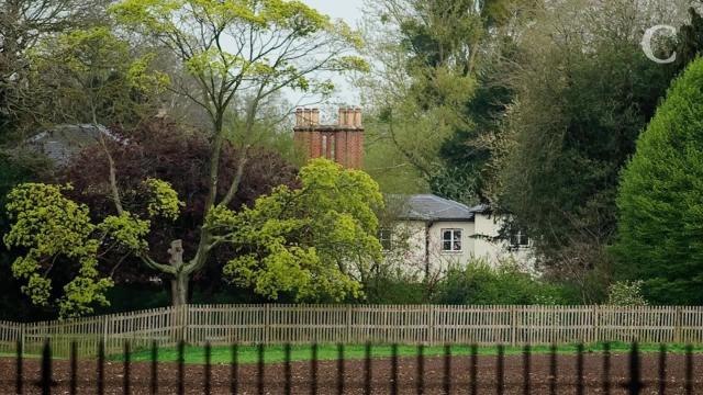 George et Charlotte impatients de rencontrer leur cousin Archie, le bébé du prince Harry et Meghan Markle