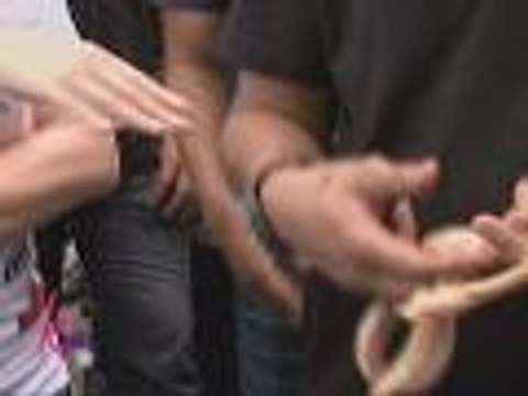 Kris, humawak ng ahas for the first time