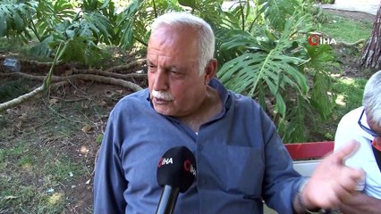 Adana’da termometreler 44 dereceyi gösterdi