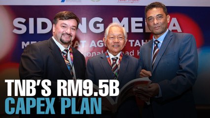 NEWS: TNB lays out its capex plans