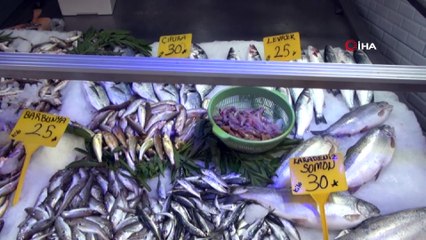 Sinop’ta Ramazan ayında balık fiyatları düştü