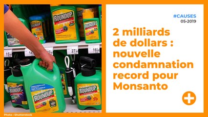 2 milliards de dollars : nouvelle condamnation record pour Monsanto.