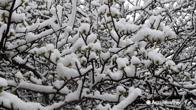 Late season snow blankets Vermont