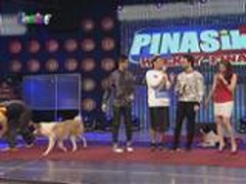 Ano ang disadvantage ng pagkakaroon ng sobrang cute na pets? Alamin kay Vice!