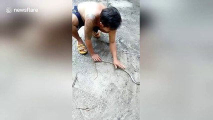 Thai man performs CPR to revive trampled snake