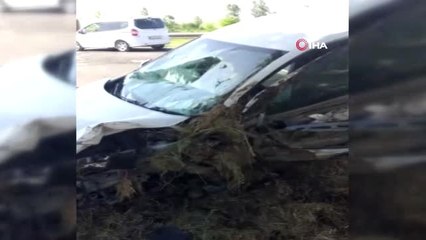 Direksiyon Hakimiyetini Kaybeden Sürücü Ağaçlara Çarptı: 2 Yaralı