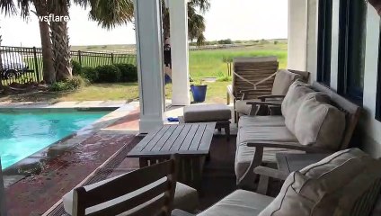 US holidaymakers find alligator in swimming pool of rental house in North Carolina