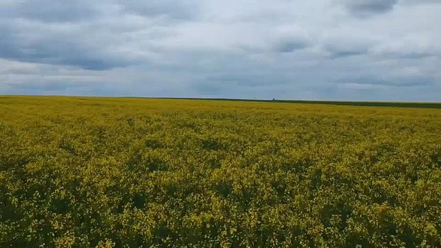 Как привлечь молодёжь на фермы.