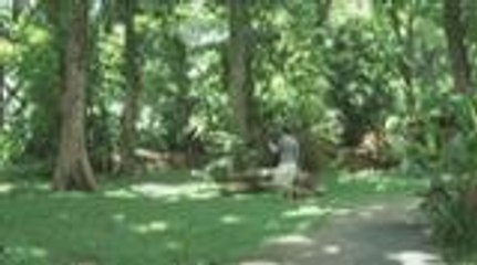 Anne, naaalala na ulit si Sophie