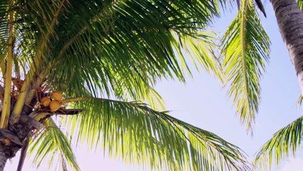 Costa Mee - You (Original Mix)