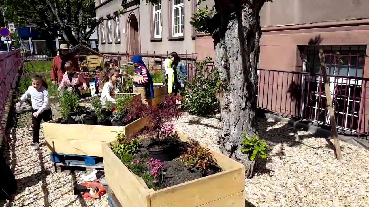 Saint-Louis : les écoliers créent leur jardin pédagogique