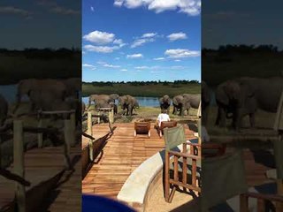 Nature lodges in Zimbabwe encourage tourists to treasure the country’s wildlife