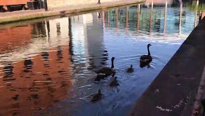 GOODLINES: 15th May 2019