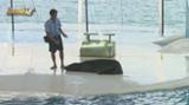 Masayang Zoo trip ng ToHimo kasama si Baby Aimi