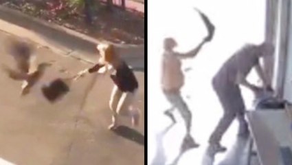 Funny Face-Offs Between Humans And Animals