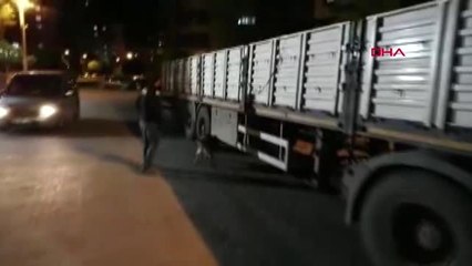 Şanlıurfa Tır'da 9,5 Kilo Metamfetamin Ele Geçirildi, Sürücü Tutuklandı