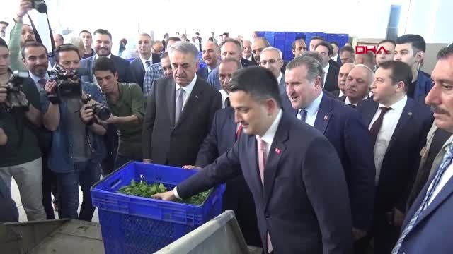 Rize Bakan Pakdemirli, İyi Çay Demlemenin Tarifini Verdi