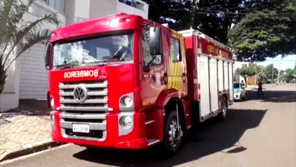 Gambá é capturado em residência no Bairro Canadá