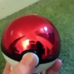 Ce qu'il y a à l’intérieur de ce ballon de Pokemon est Surprenant !